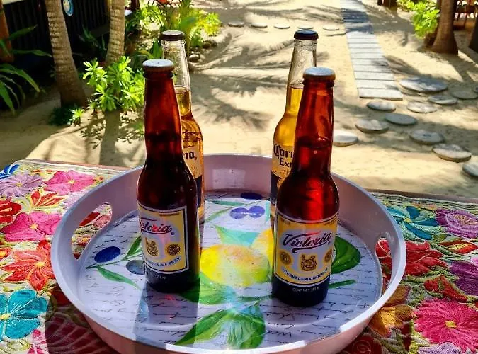 Tree Tops - Adults Only * Zihuatanejo